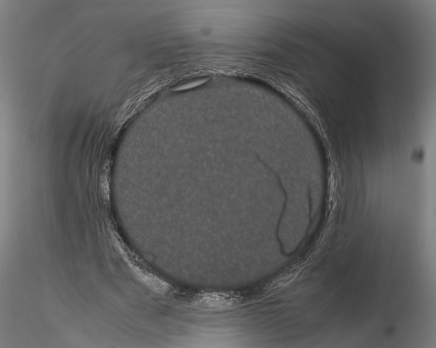 X0000116120489200912141049