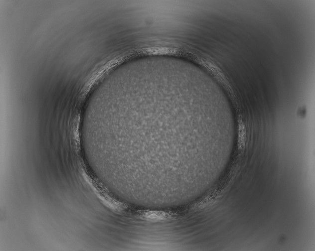 X0000116120490200912141049