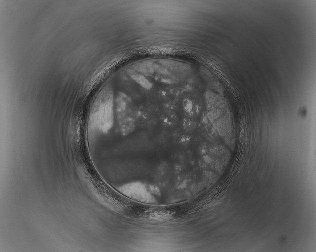 X0000116120491200912141049