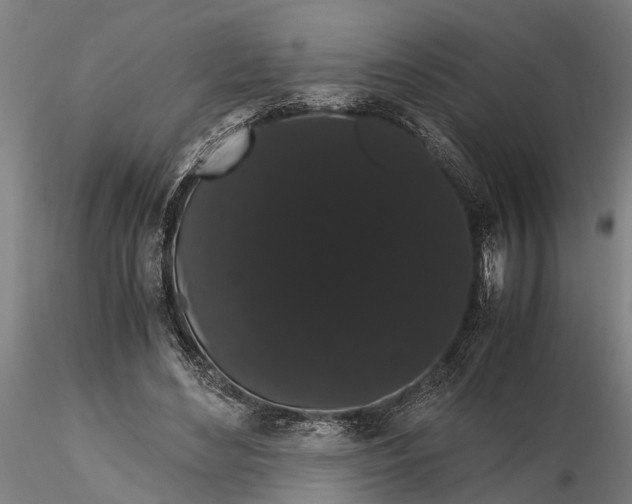 X0000116120492200912141049