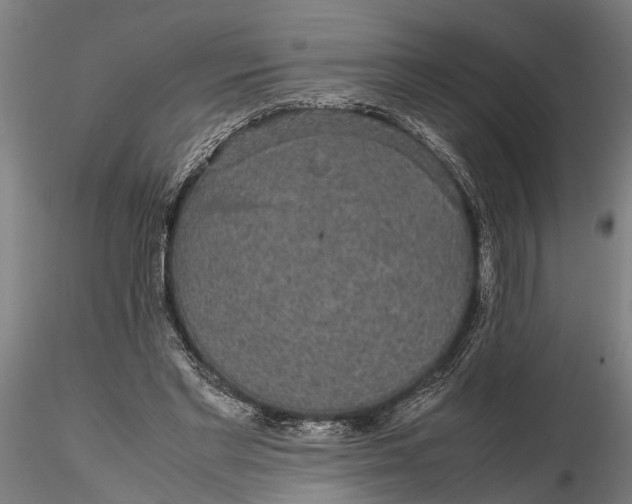 X0000116120493200912141049