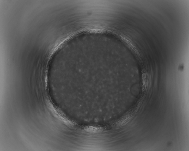 X0000116120494200912141049