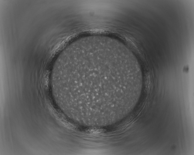 X0000116120495200912141049