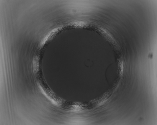 X0000116120496200912141049