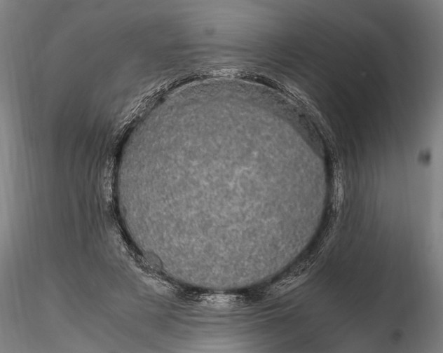 X0000116120497200912141049