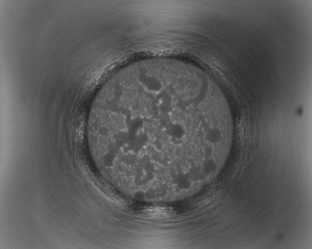 X0000116120499200912141049