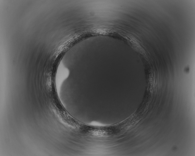 X0000116120500200912141049