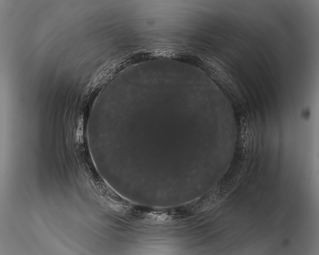 X0000116120502200912141049