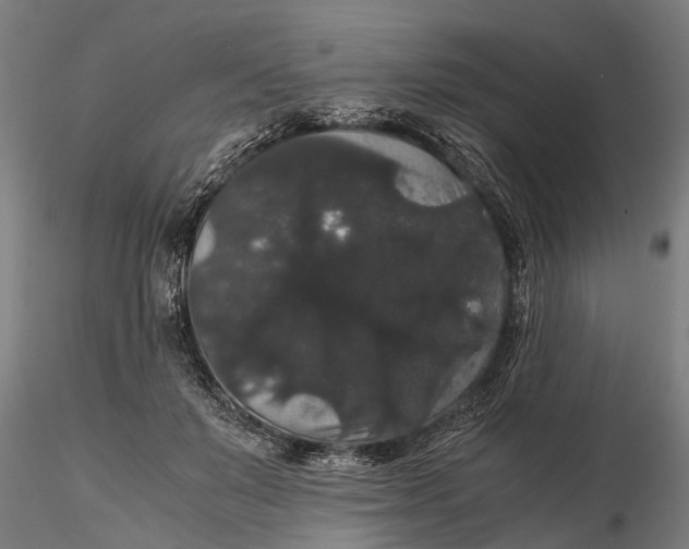 X0000116120503200912141049