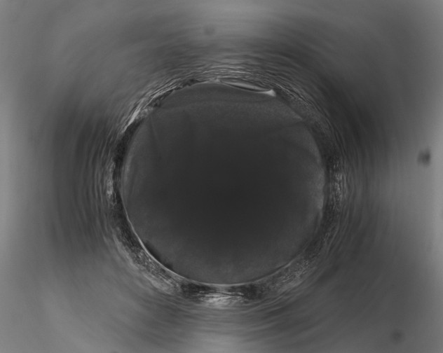 X0000116120504200912141049