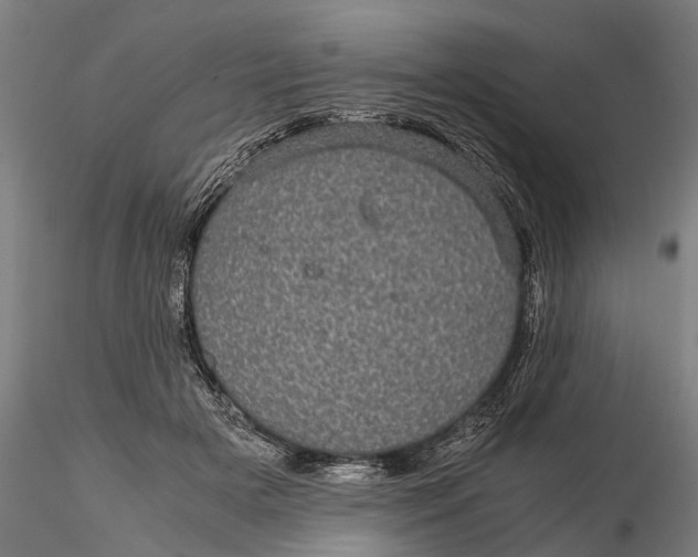 X0000116120505200912141049