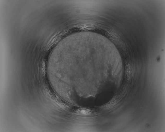 X0000116120506200912141049