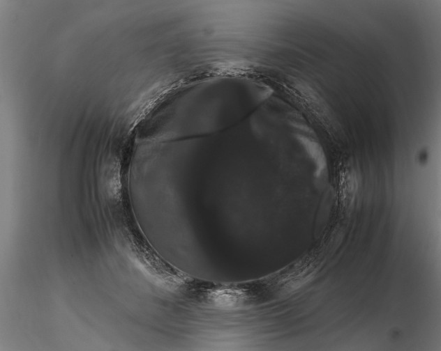 X0000116120508200912141049