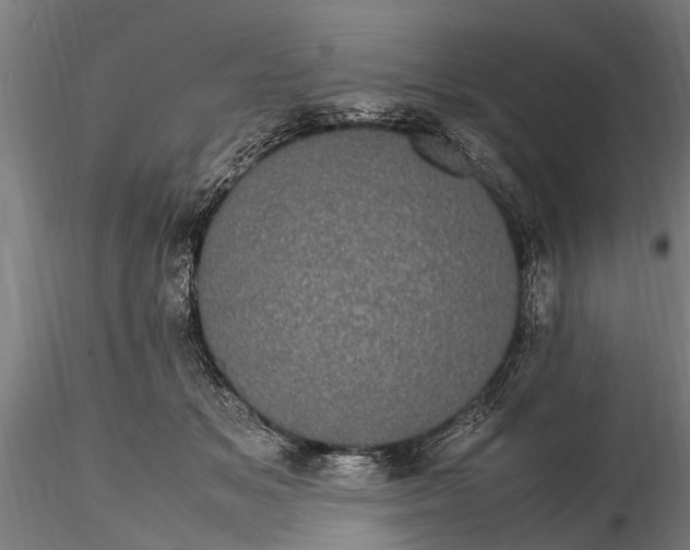 X0000116120509200912141049