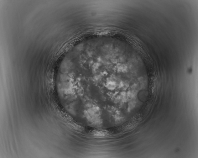 X0000116120510200912141049