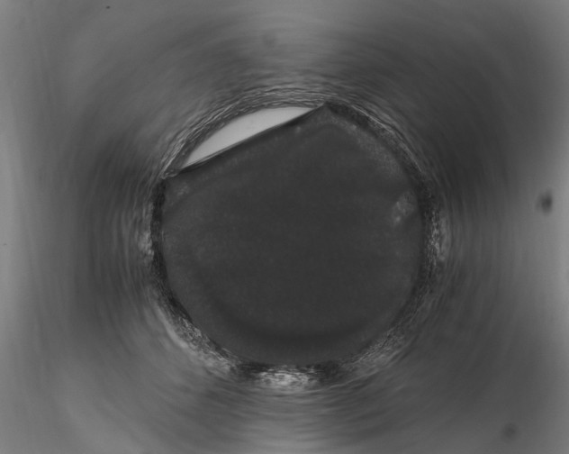 X0000116120512200912141049