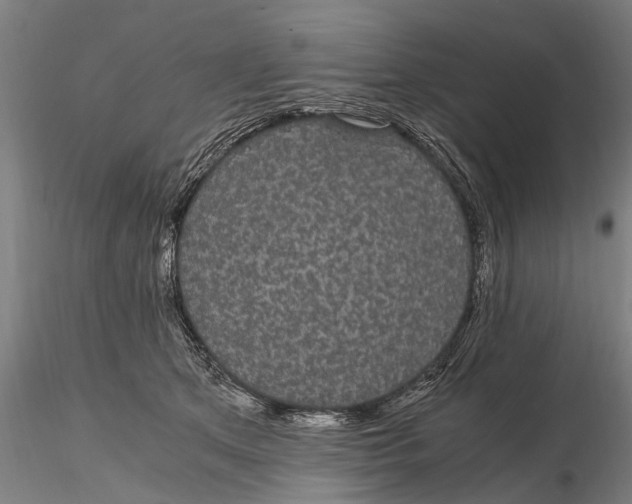 X0000116120513200912141048