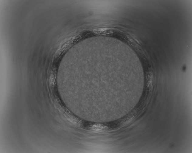 X0000116120515200912141048