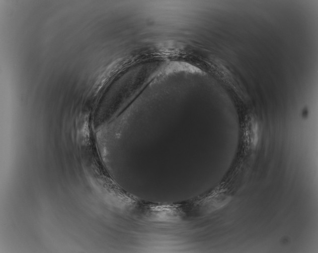 X0000116120516200912141048