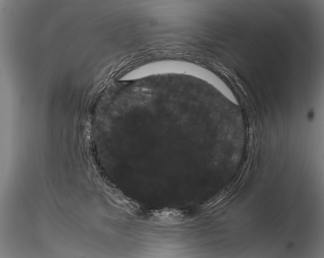 X0000116120517200912141048