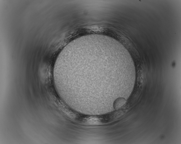 X0000116120518200912141048