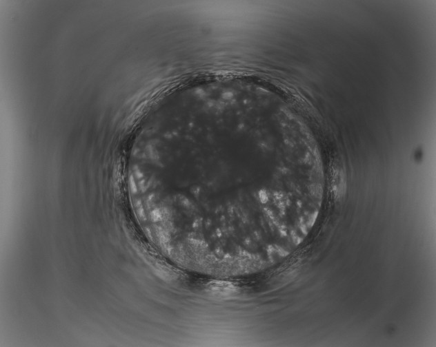 X0000116120519200912141048