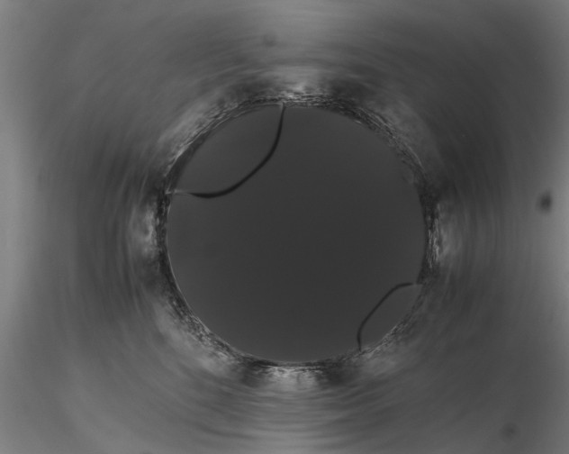 X0000116120520200912141048