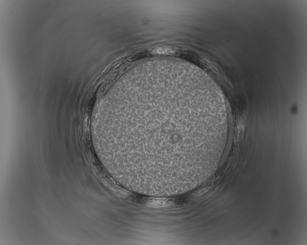 X0000116120521200912141048