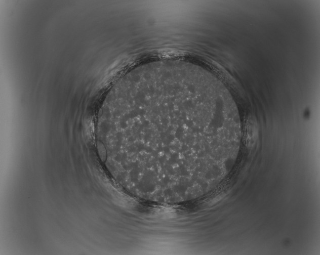 X0000116120523200912141048