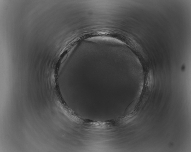 X0000116120524200912141048