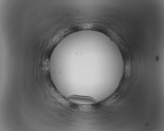 X0000116120525200912141048