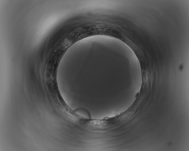 X0000116120526200912141048