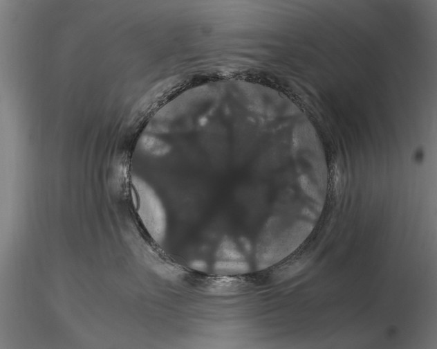 X0000116120527200912141048