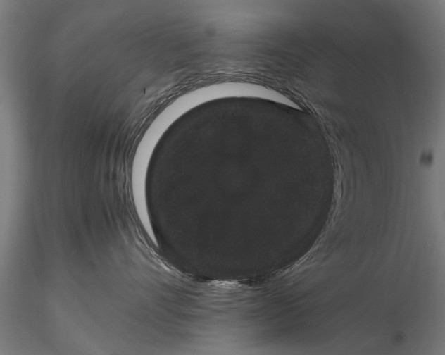 X0000116120528200912141048