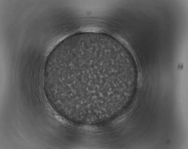 X0000116120529200912141047