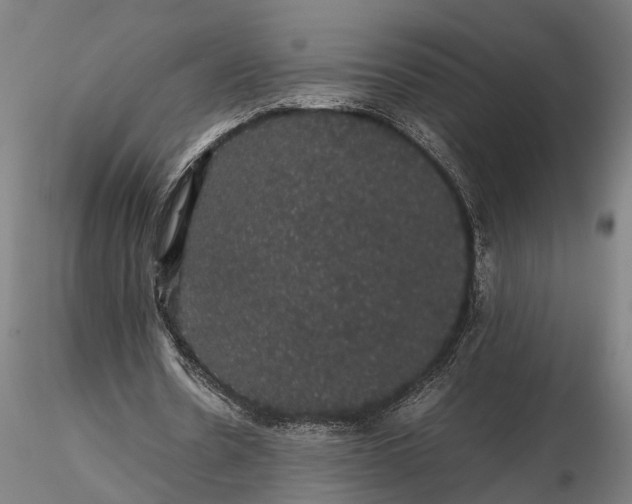 X0000116120530200912141047