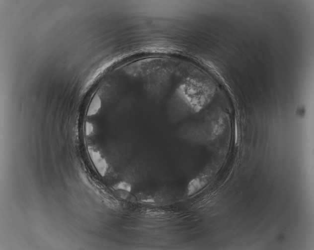 X0000116120531200912141047