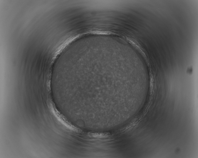 X0000116120533200912141047