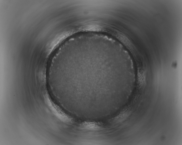 X0000116120534200912141047