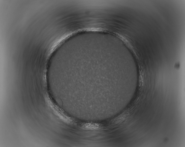 X0000116120535200912141047