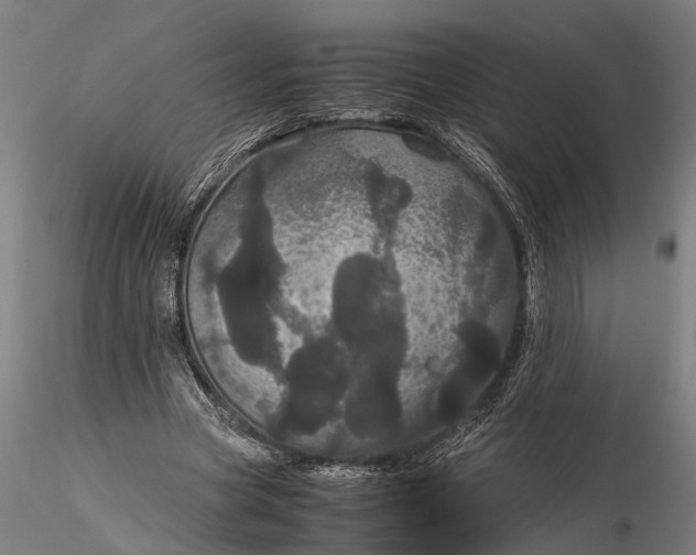 X0000116120537200912141047