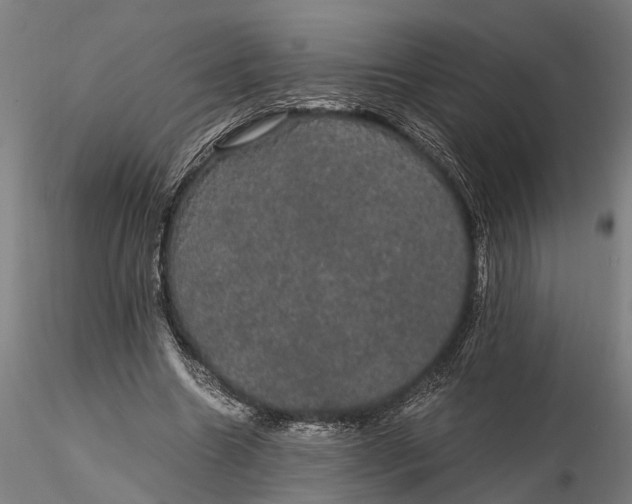 X0000116120538200912141047