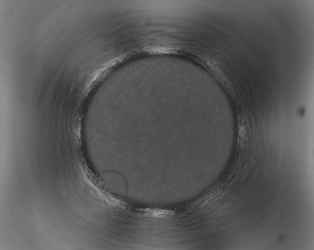 X0000116120539200912141047