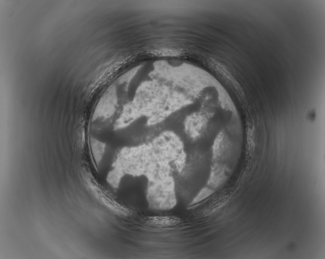 X0000116120541200912141047