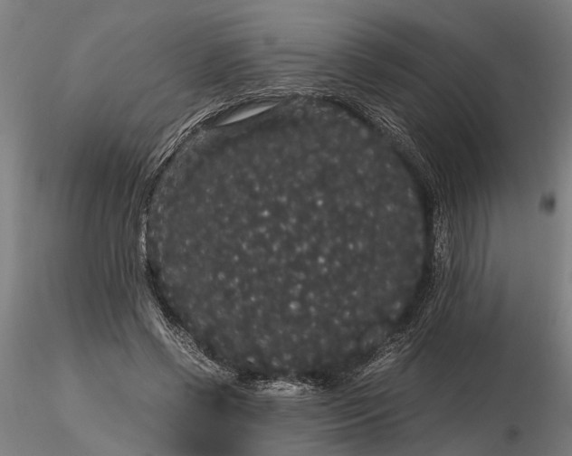 X0000116120542200912141047