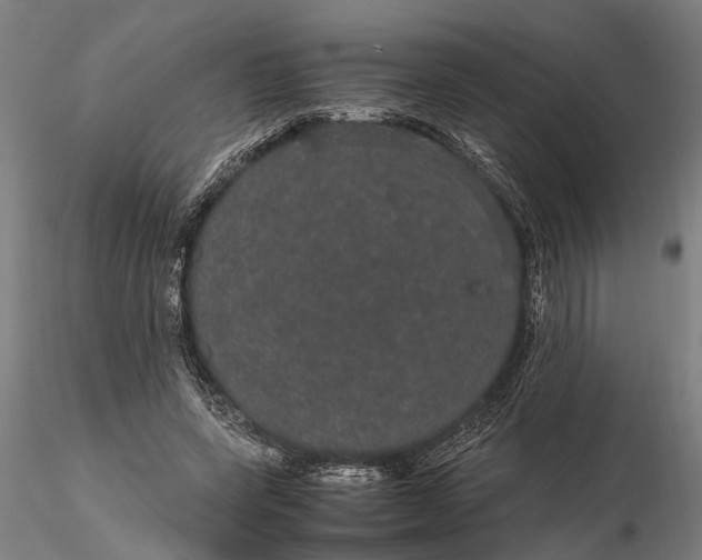 X0000116120543200912141047