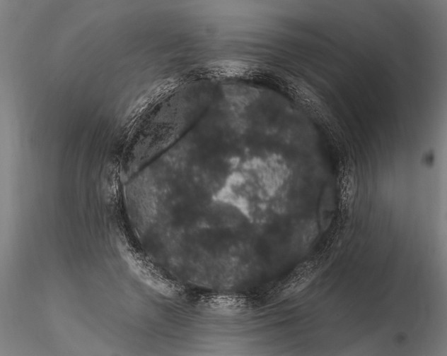 X0000116120546200912141048