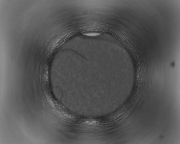 X0000116120547200912141048