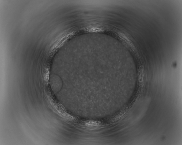 X0000116120549200912141048