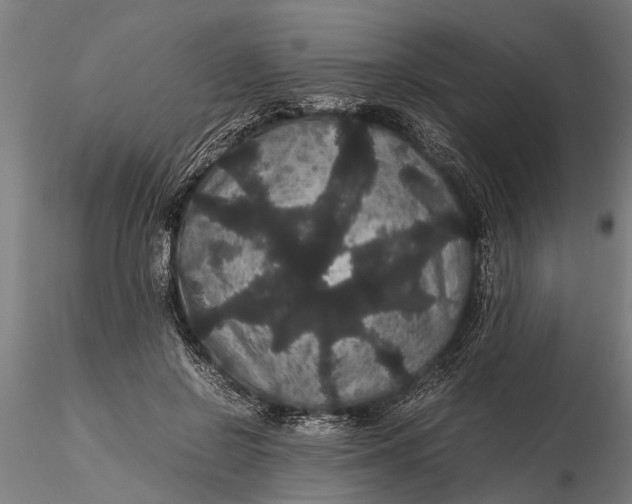 X0000116120550200912141048